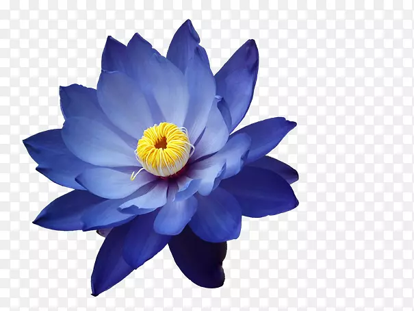 ����������-������