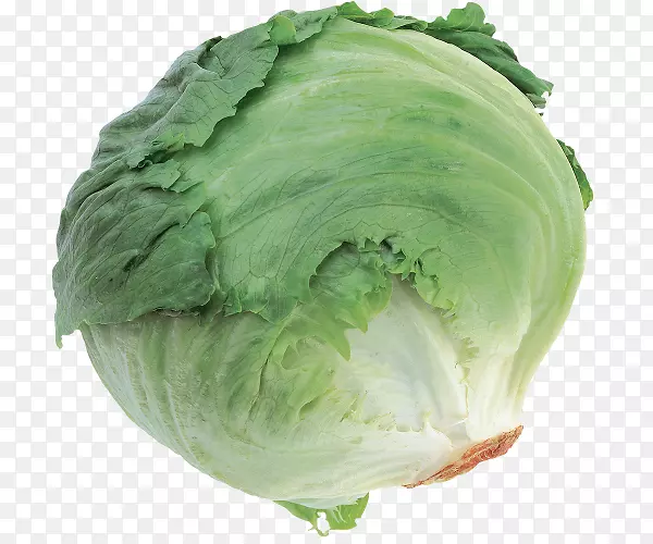 ʮ�ֻ����߲ˣ����Ĳ�-������