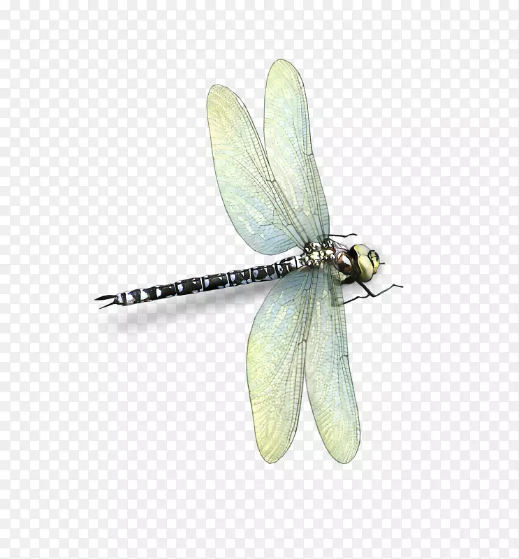 ���ѡ����桢������2M�����Ͷ�.����-������