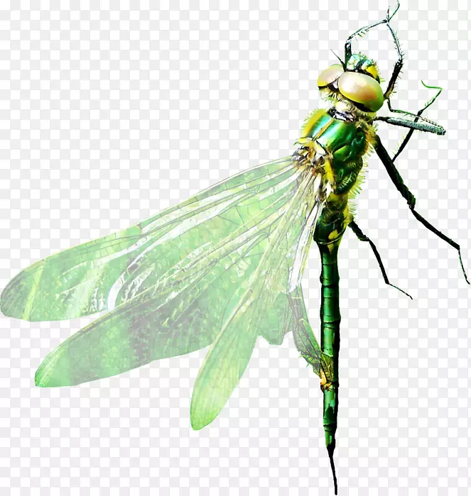 ����-������