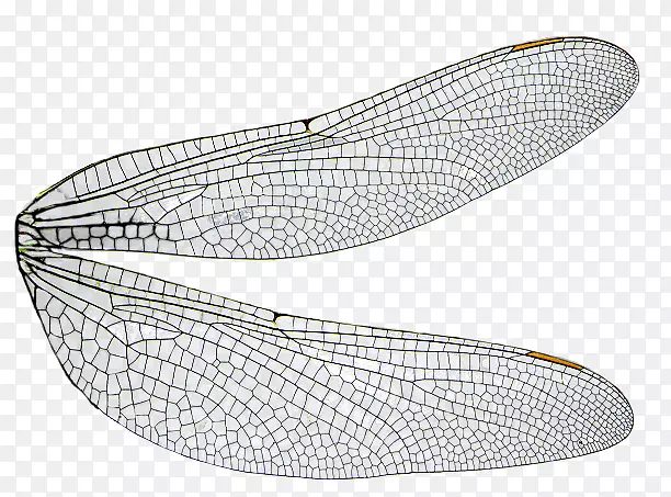 �������������-������