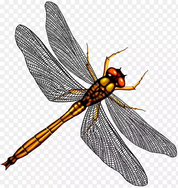 �����ó�-����-������