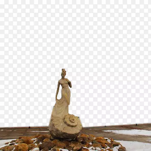 �ذ�-�����ر�-������