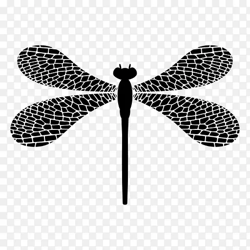 ��������滭����-����-������