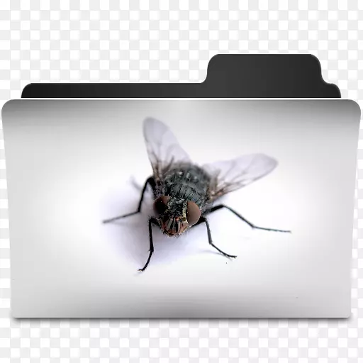 �۷������ֽ����ͼ����������-������