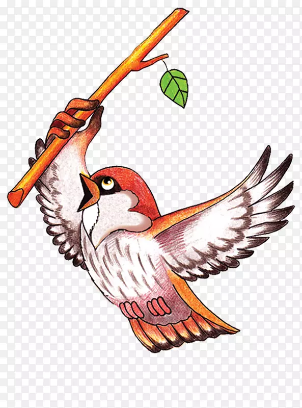 ˮ�ʻ���ˮ�ʻ�������-������