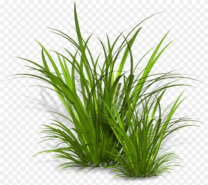 ���ؼ�����-������