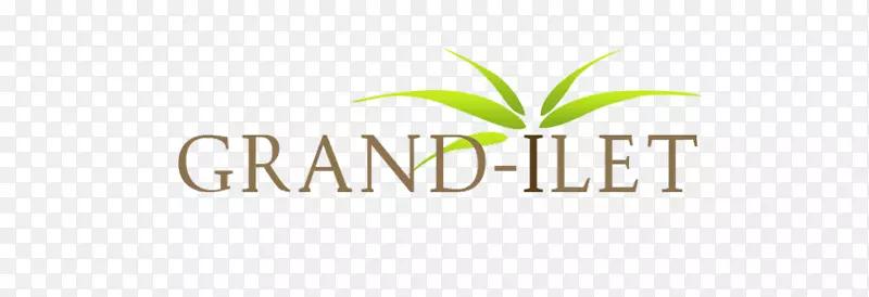 �̱������ֽ-��ʦ����-������