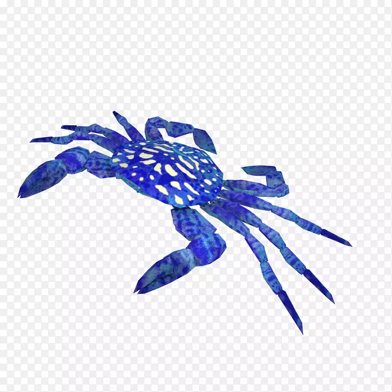 з��з-������