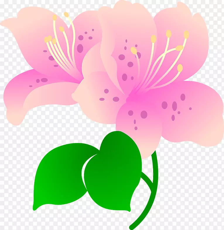 ��װ��Ǽ�����-��-������