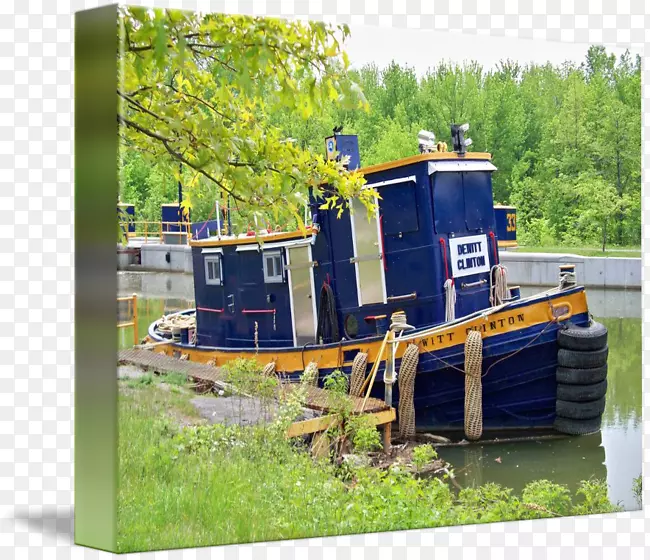 �������ϴ�-������