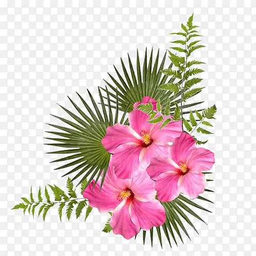 Internet.net.com-������