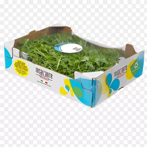 ��������ɳ��-������