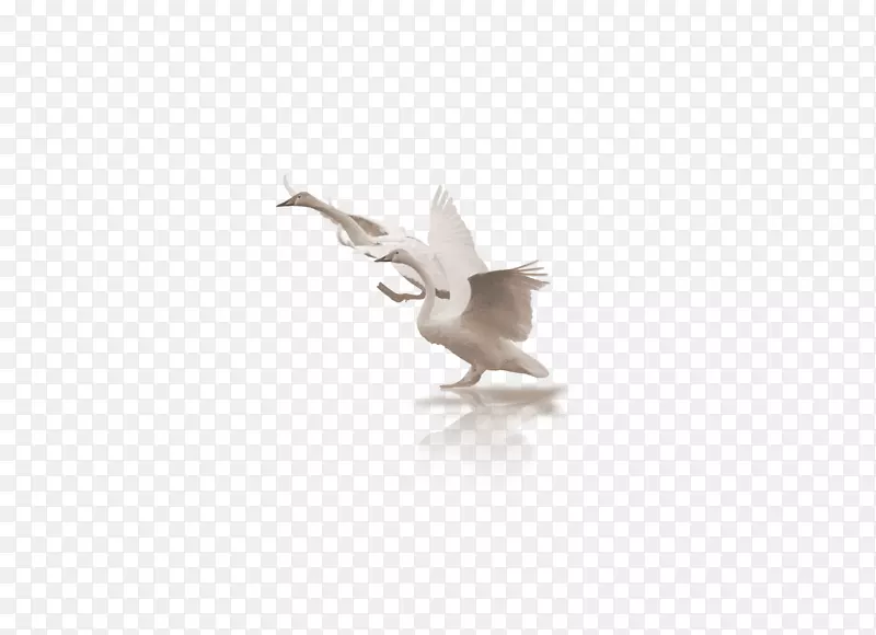 Ѽ�ذ��ֽ.�����Ԫ��-������