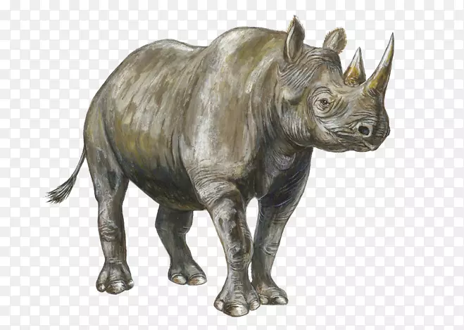 Ϭţ-������