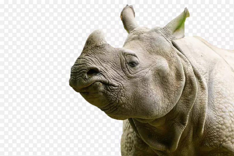 ������Ϭţ½������-����-������