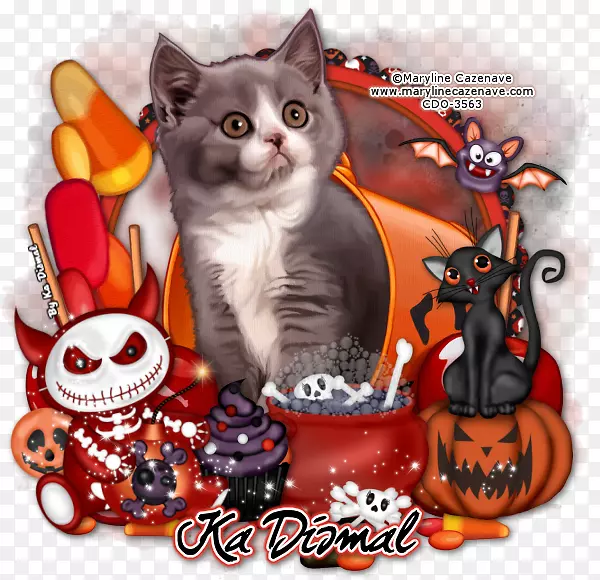 Сè�룬���ӣ�צ��-Сè-������