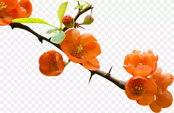 �廨����-������