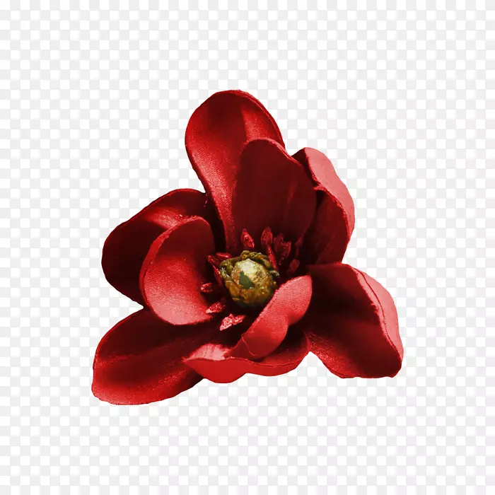 �����л�����ֲ��-������