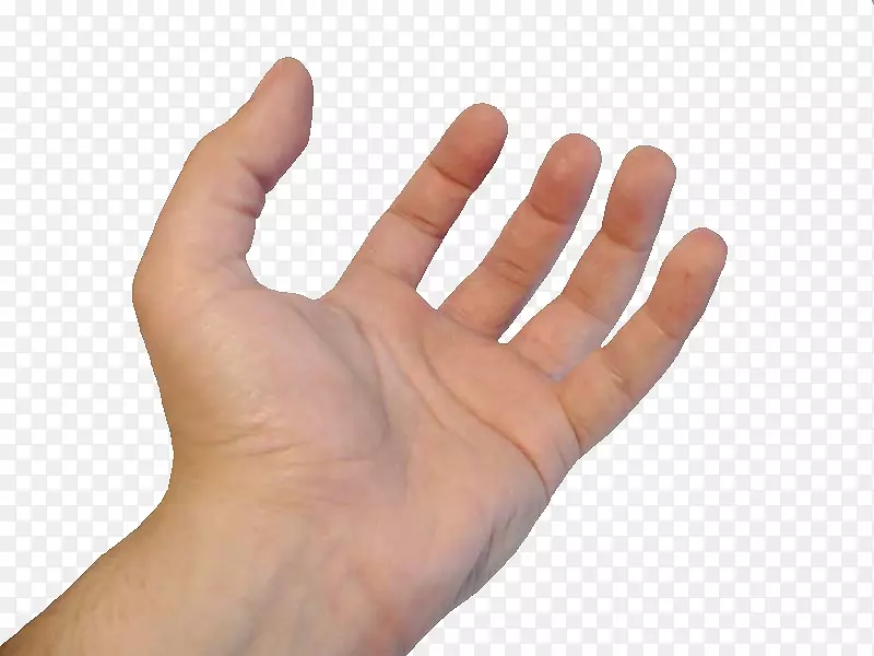 ȭ���ֹ���ָ��-������