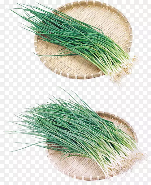 �������д��������-���-������