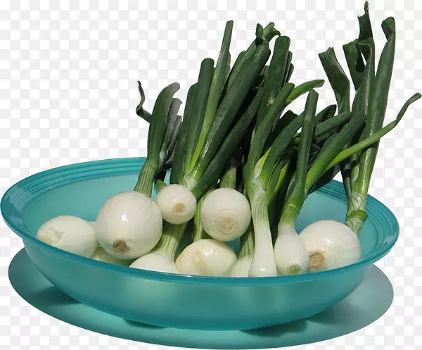 ��Ҷ�߲˴���-���-������