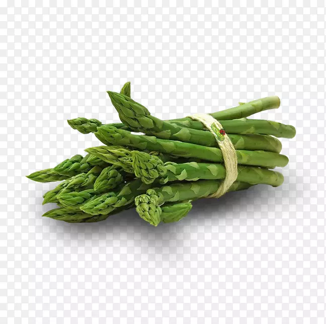 «��Ҷ���߲�ά����e-�߲�-������