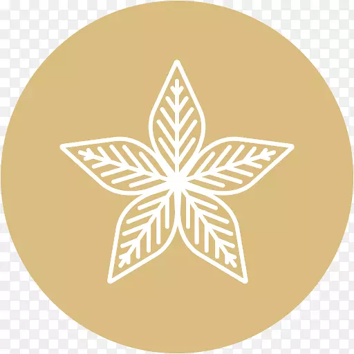 ���˰�滭רҵ-������