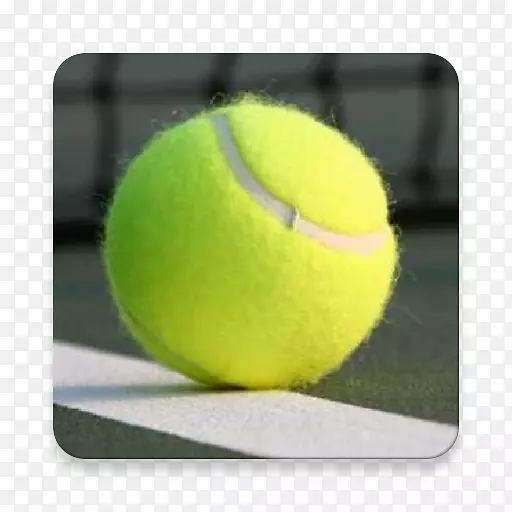 ����ְҵ�������ֵ���-���ֲ�����-������