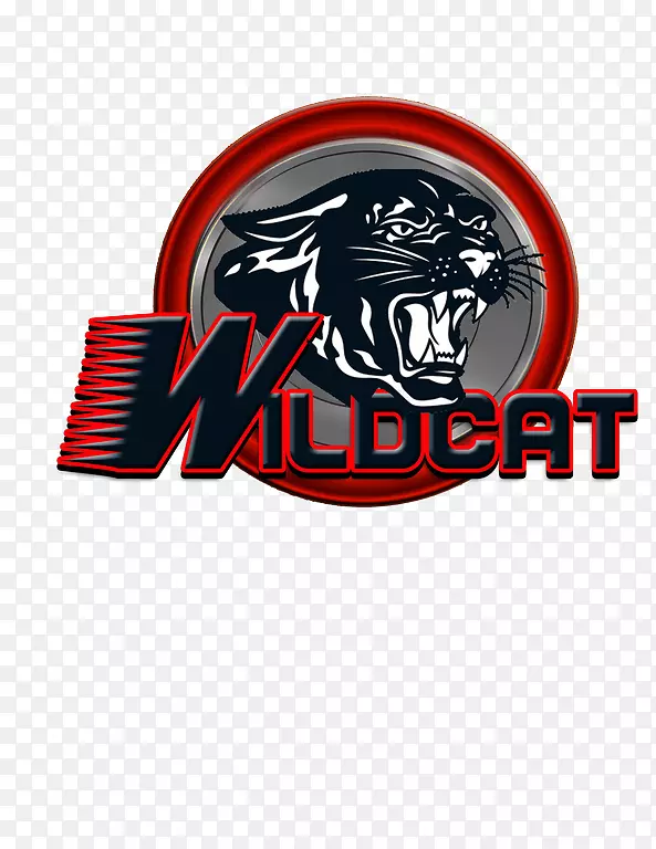 Vidor��տ��������-������