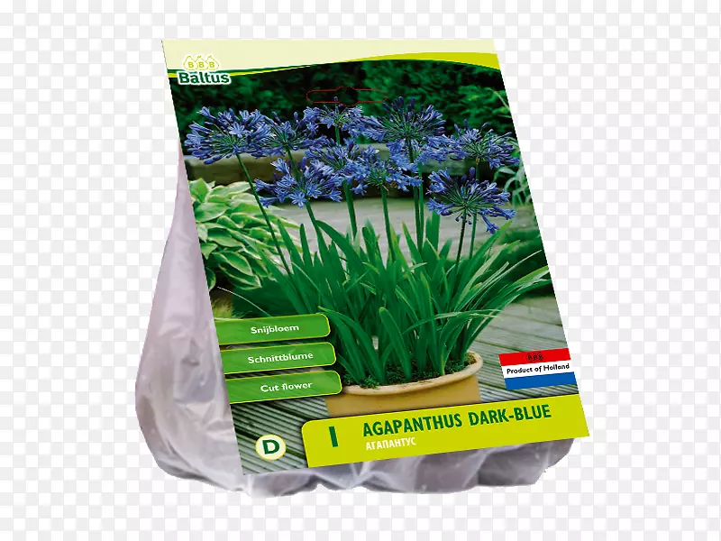 ���޺Ӱٺ�-������ˮ��ݲ�-������-������