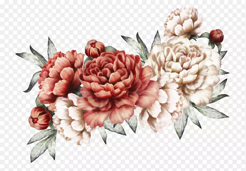 ����С˵�������ˮ�ʻ�-������