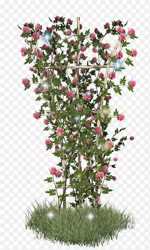 ��ľ����ֲ��-������