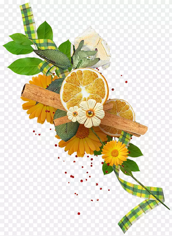 ��������л�����-������