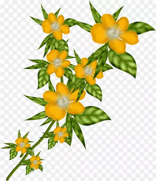 ��������л�����-����-������