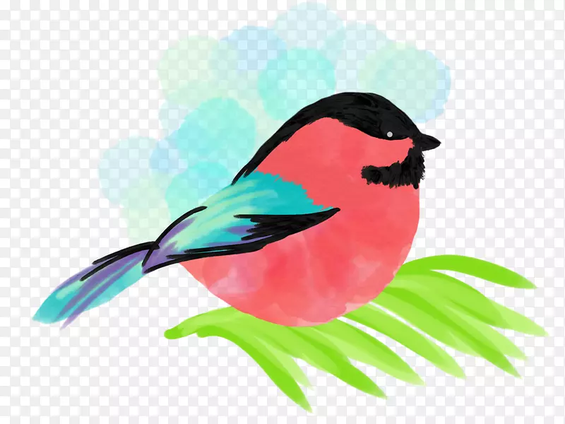 ���-������