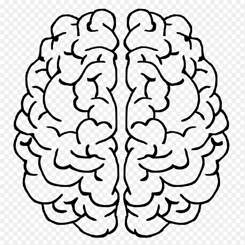 ���������񾭿�ѧ��Ӫ���տ�Ұϸ��-��-������