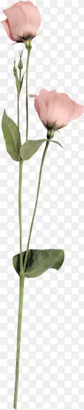 �л�������Ӱ-��-������