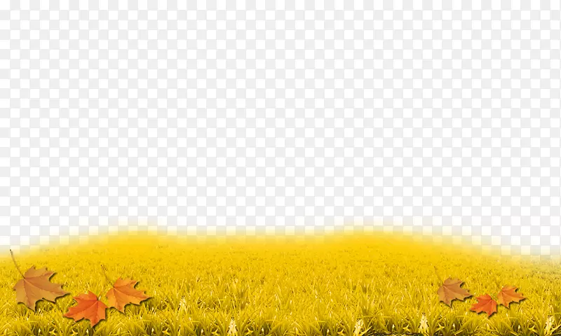 ��ɫ���տ���ղݱ�ֽ���-������