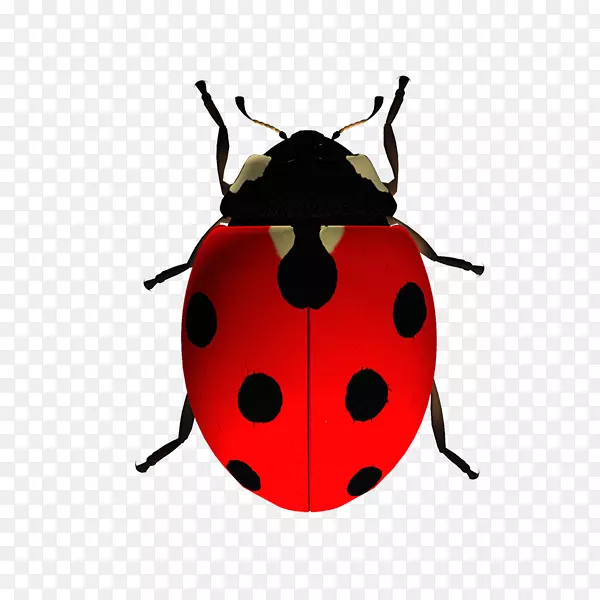 ư��׳�-������