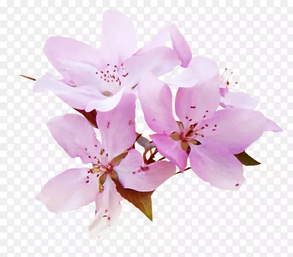 �廨����-������