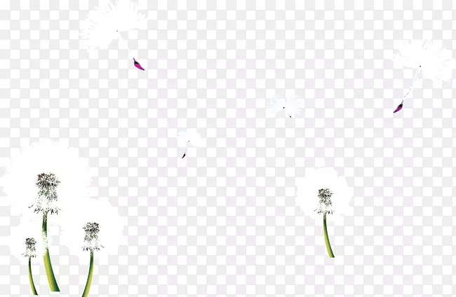 �ذ廨��-�����ѹ�Ӣ-������