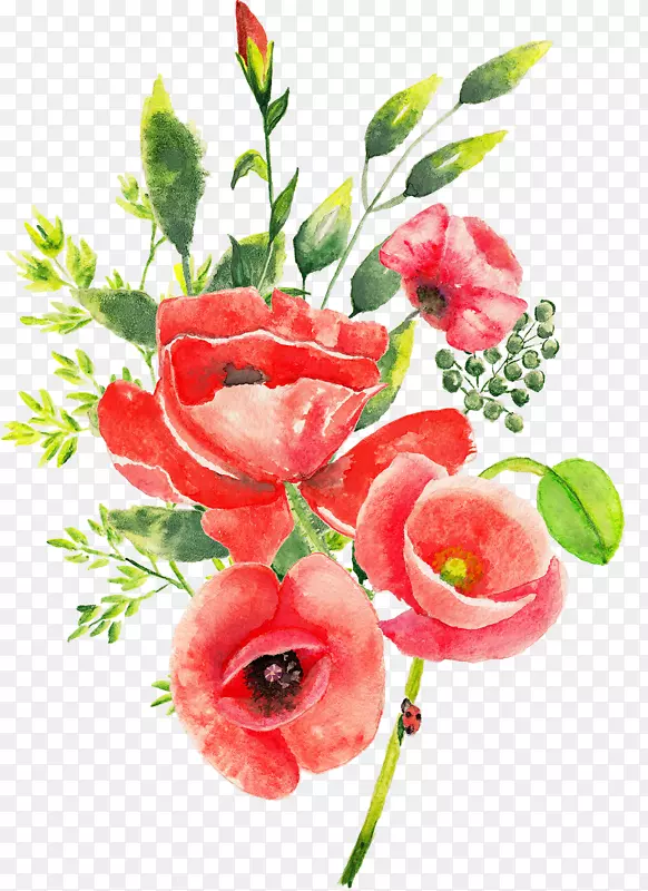 ��������л�ˮ�ʻ�.��-������