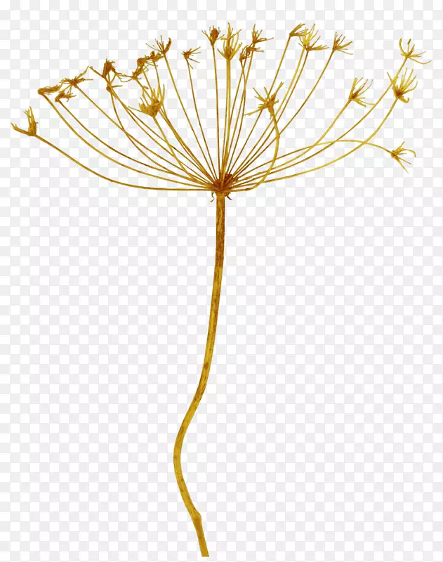 ͸�������ѹ�Ӣ-������