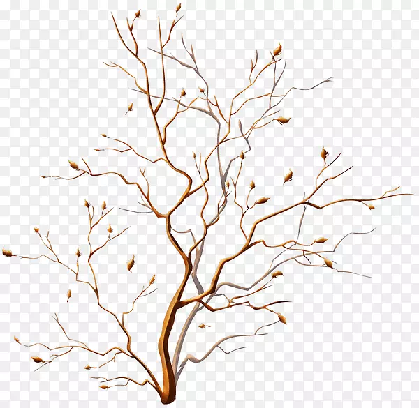 ����װ�μ�����-������