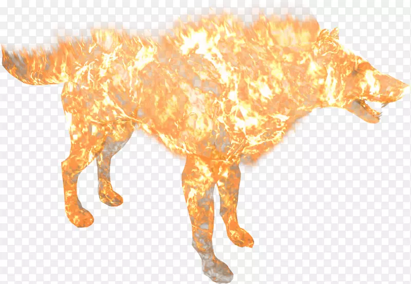 ��è����Ұ������β�͹�-������