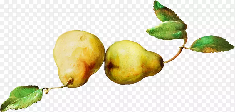 ƻ��Ϥ��ѩ��ˮ��Ϥ��-������