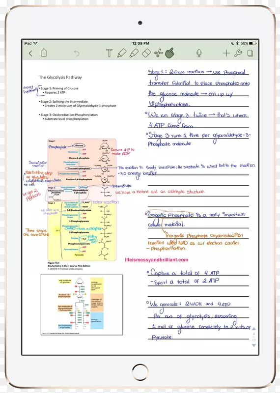 �ʼǱ�����ʱ�����ѧУ�ռǱʼǱ�����-������