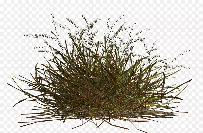 �ݿ�-������