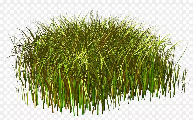 �Ӳݼ�����-��-������